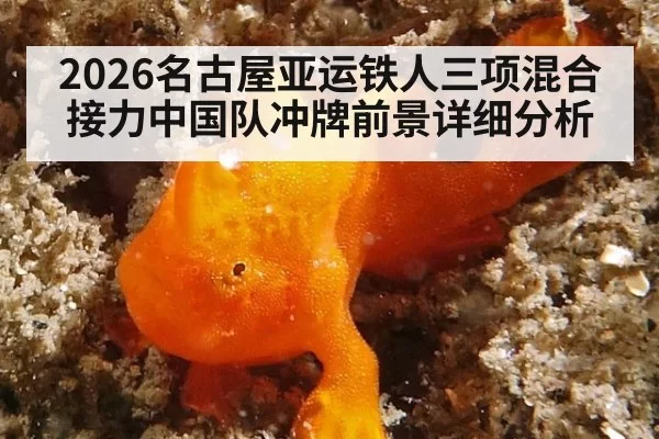 2026名古屋亚运铁人三项混合接力中国队冲牌前景详细分析